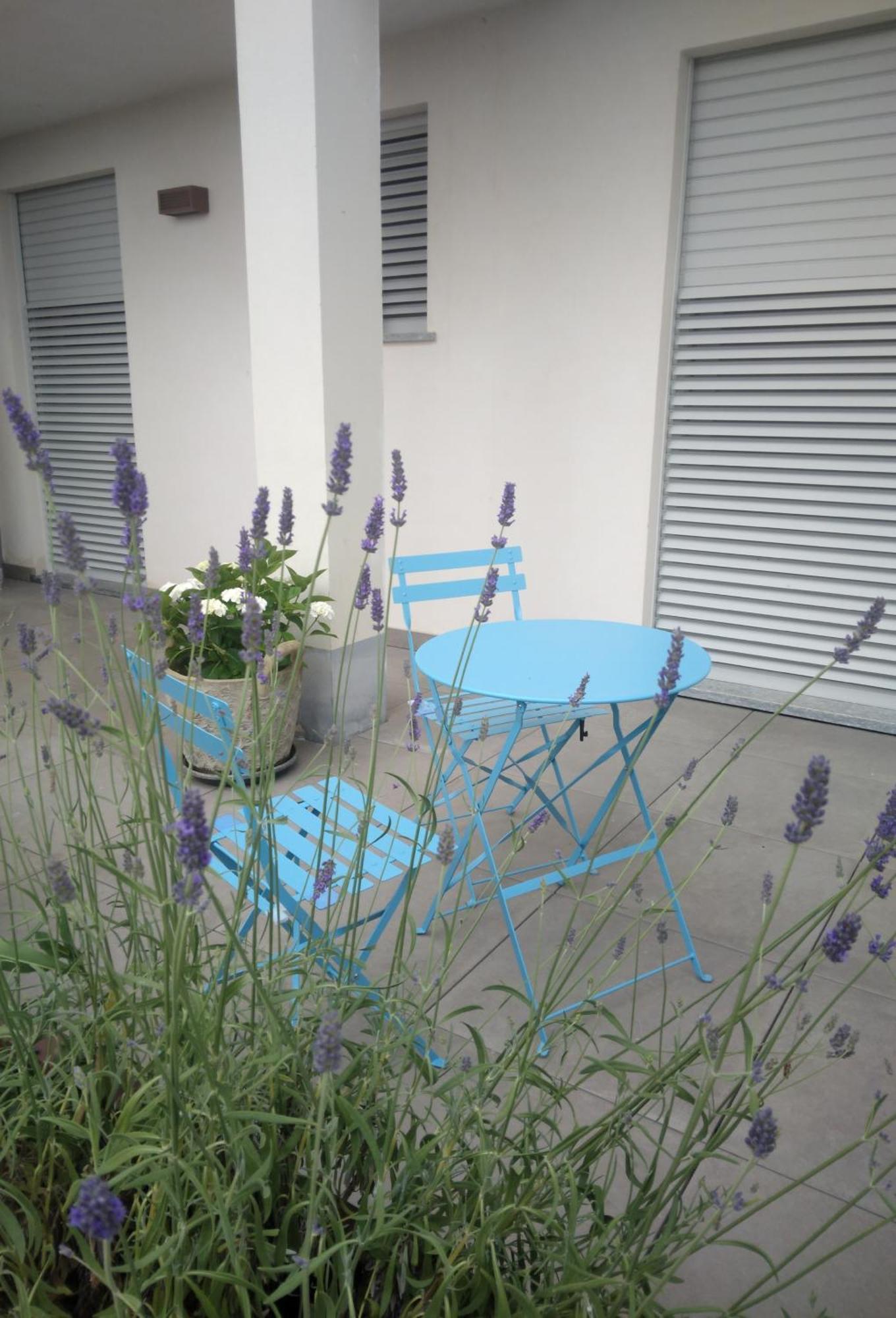 Cicci House Alba (Piedmont) Exterior foto